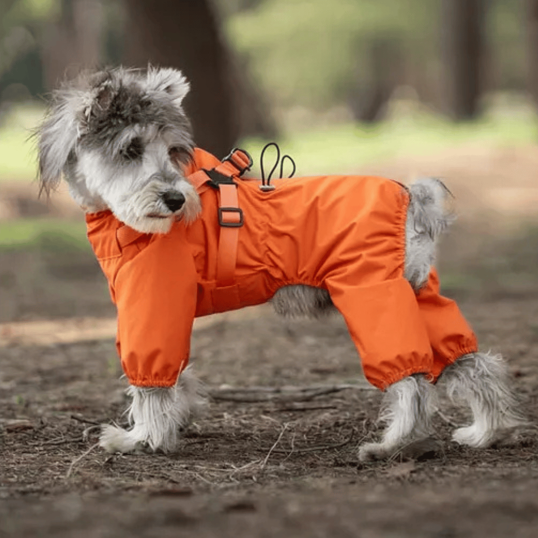 Waterproof Pet Coat with Built-In Dog Harness