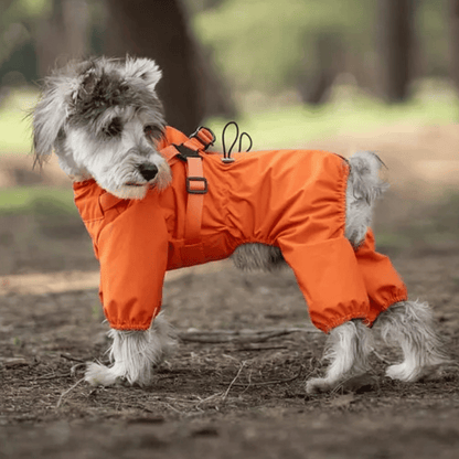 Waterproof Pet Coat with Built-In Dog Harness