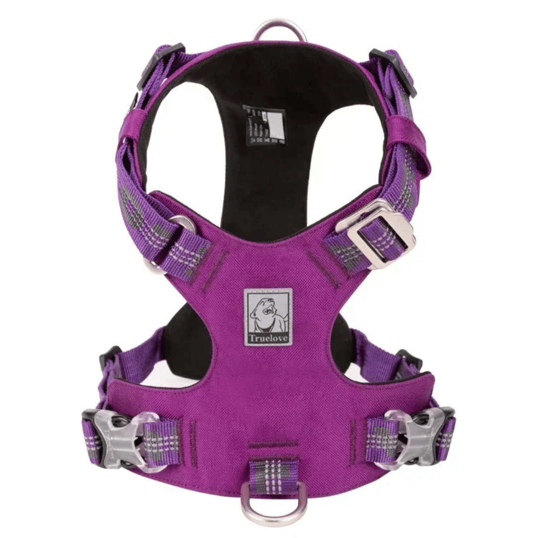 Durable Breathable Adjustable Dog Vest