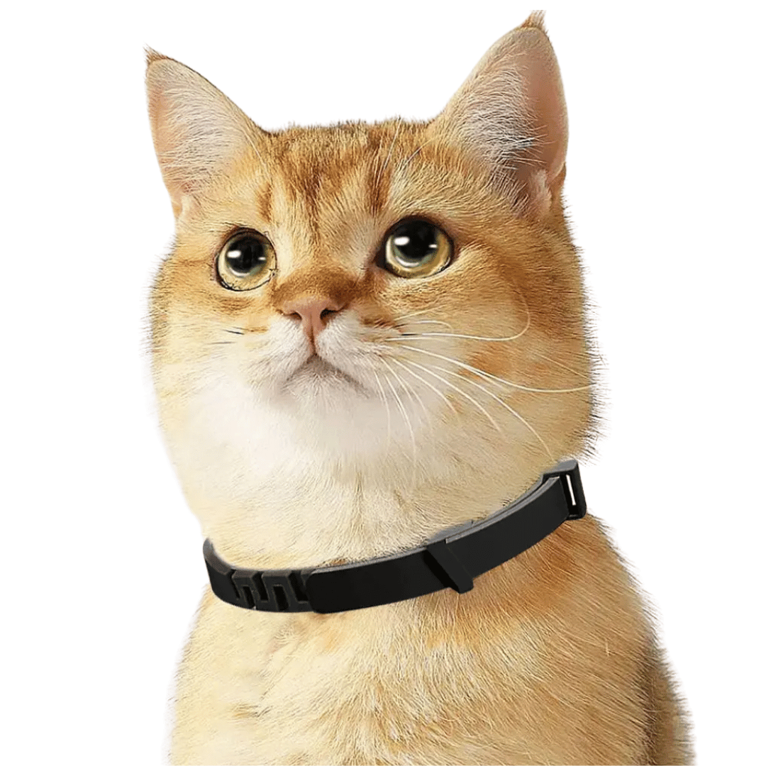Natural Calming Collar for Cats with Soothing Pheromones