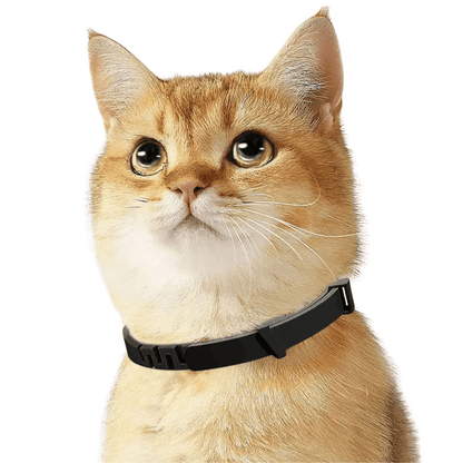 Natural Calming Collar for Cats with Soothing Pheromones