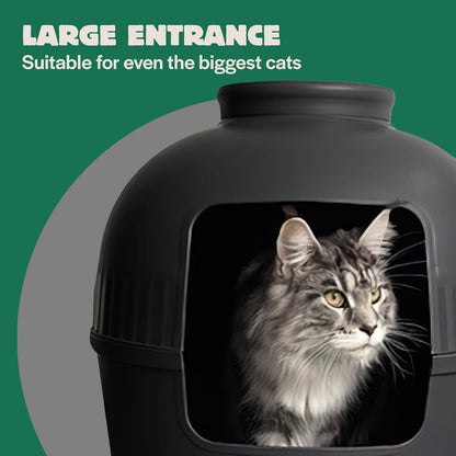 Cat Litter Box - Flower XXL – Hidden Cat Toilet – For Large Cats – With Large Entrance (51 cm) & Removable Top – Black