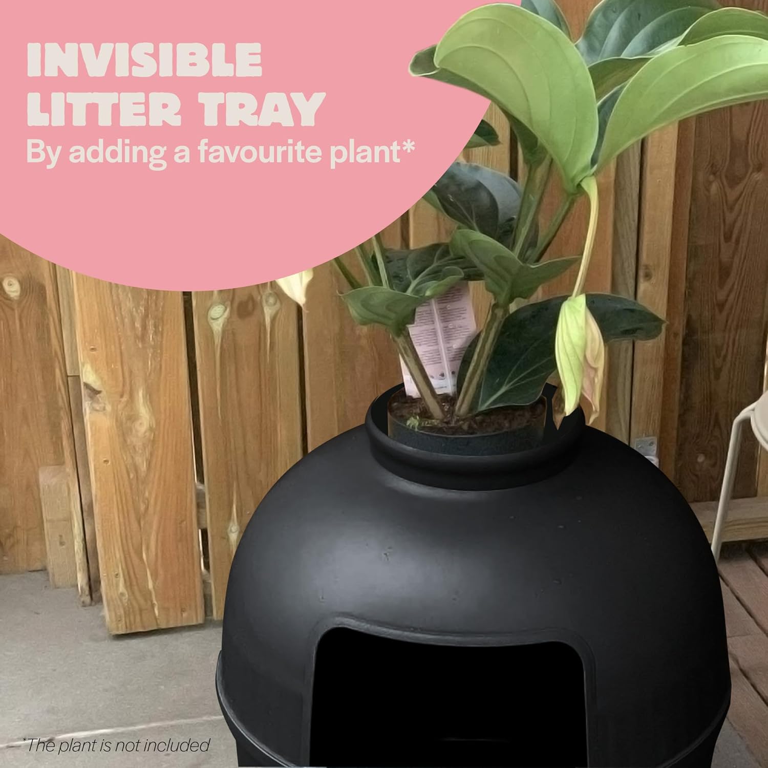 Cat Litter Box - Flower XXL – Hidden Cat Toilet – For Large Cats – With Large Entrance (51 cm) & Removable Top – Black