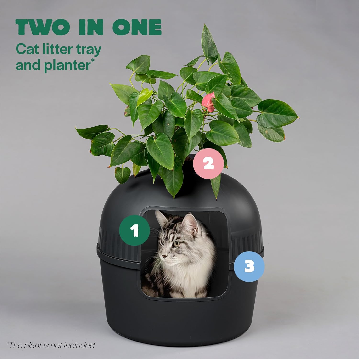 Cat Litter Box - Flower XXL – Hidden Cat Toilet – For Large Cats – With Large Entrance (51 cm) & Removable Top – Black