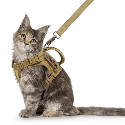 Durable Outdoor Cat Vest & Leash - LifyPet