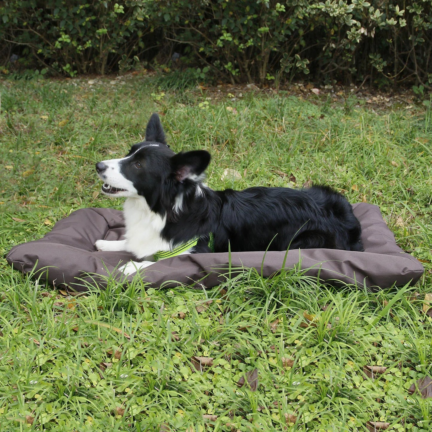 Durable Water Resistant Pet Travel Pad