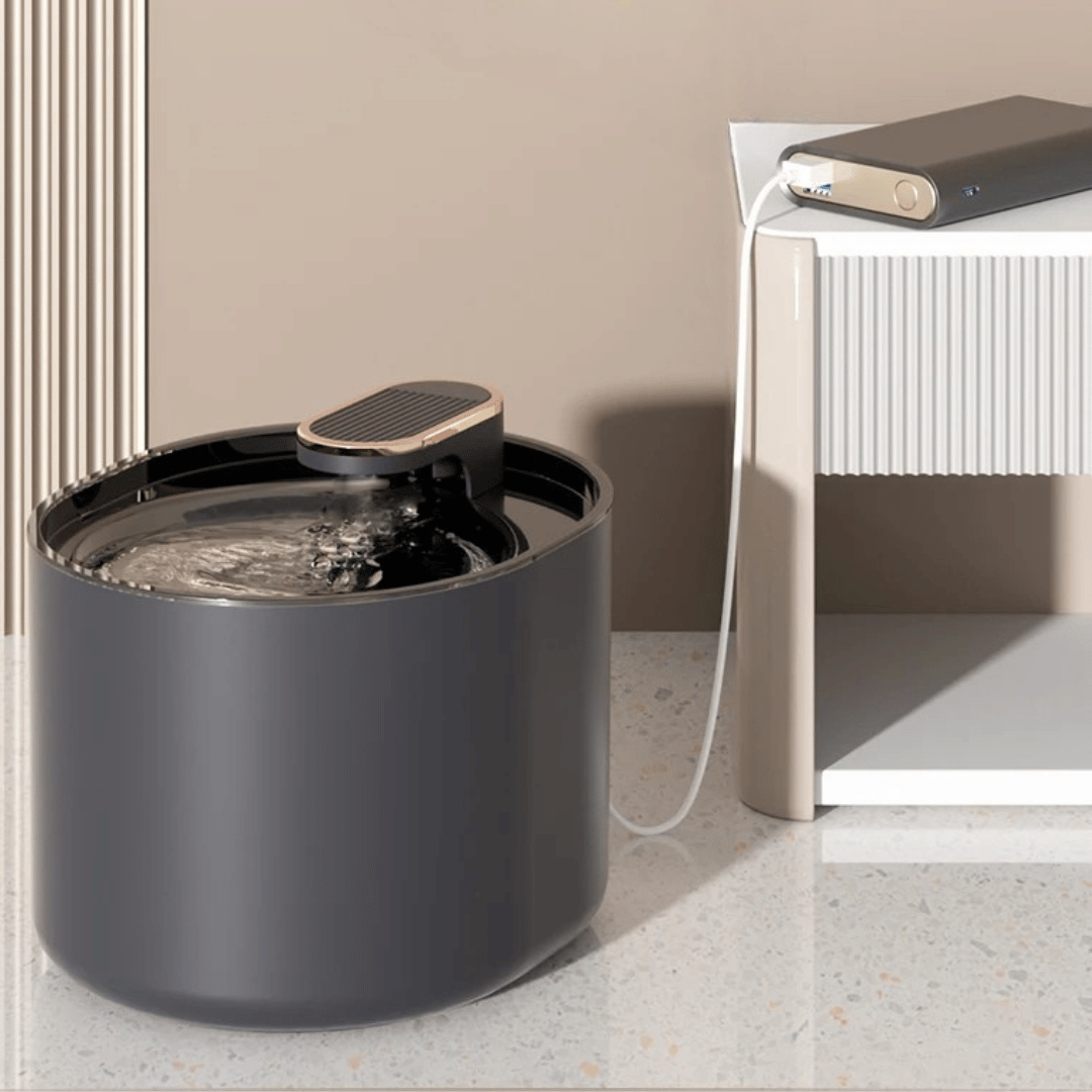 Quiet Pet Water Fountain with Motion Sensor & Night Light