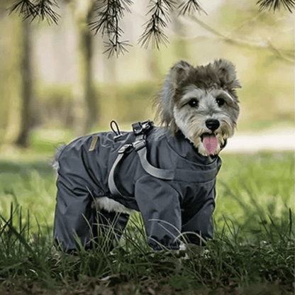Waterproof Pet Coat with Built-In Dog Harness