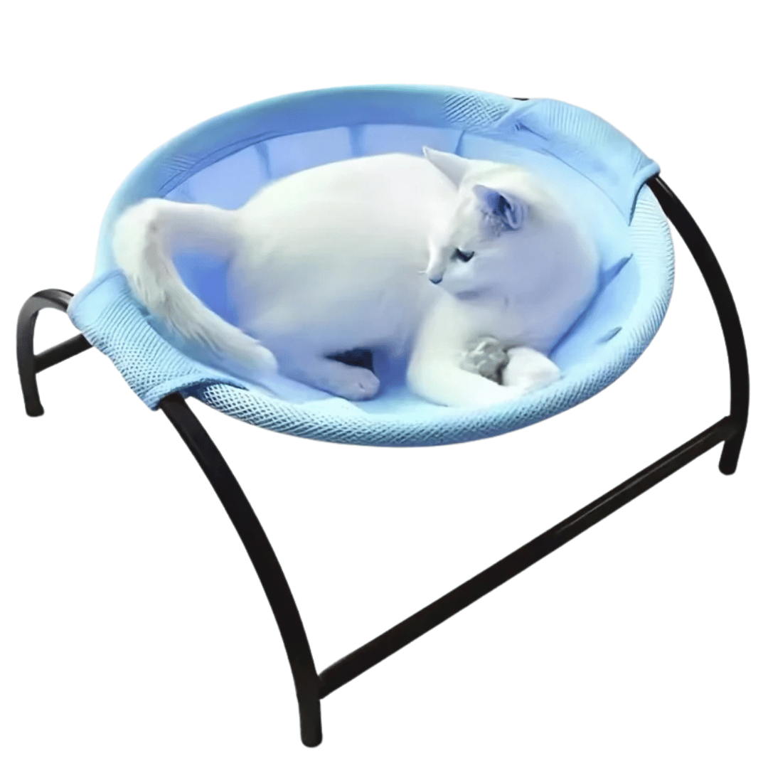 Sturdy Wooden Cat Hammock Bed with Solid Frame
