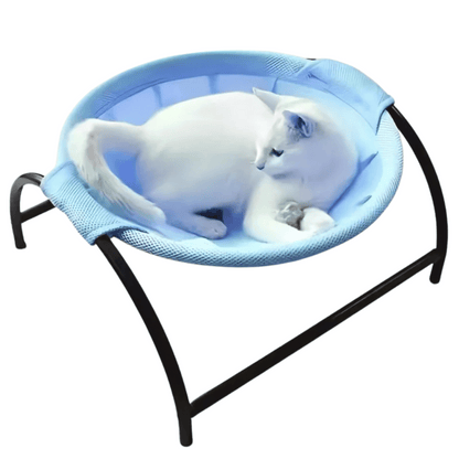 Sturdy Wooden Cat Hammock Bed with Solid Frame