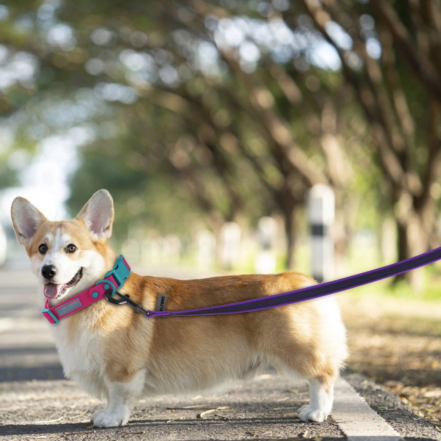 Strong Heavy Duty Dog Leash with Padded Handle