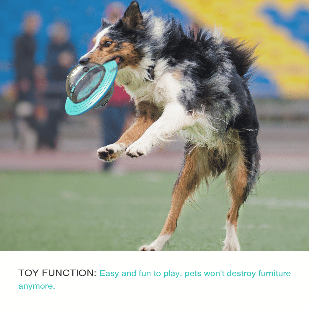 Fun Puzzle Dog Toy for Healthy Slow Eating