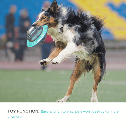 Fun Puzzle Dog Toy for Healthy Slow Eating