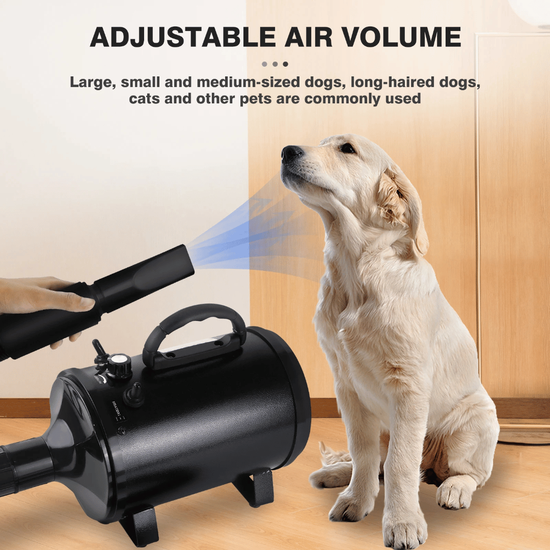 Quiet Pet Dryer with Adjustable Heat & Interchangeable Tips