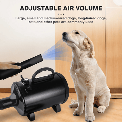 Quiet Pet Dryer with Adjustable Heat & Interchangeable Tips