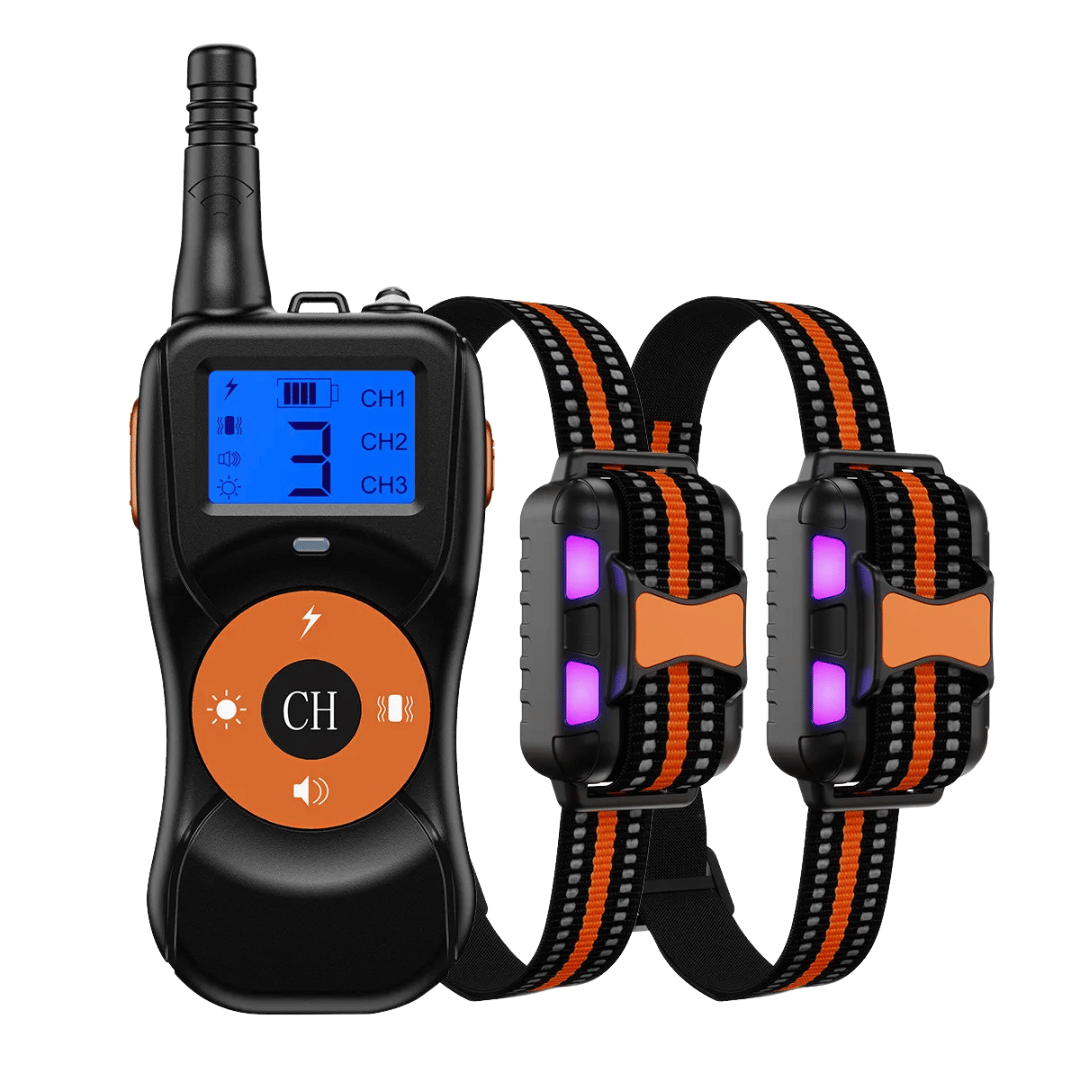 Durable Nylon Pet Training Collar & Remote