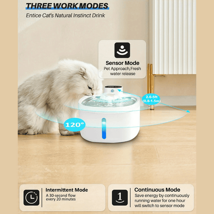 Automatic Refill Pet Water Dispenser for Cats and Dogs