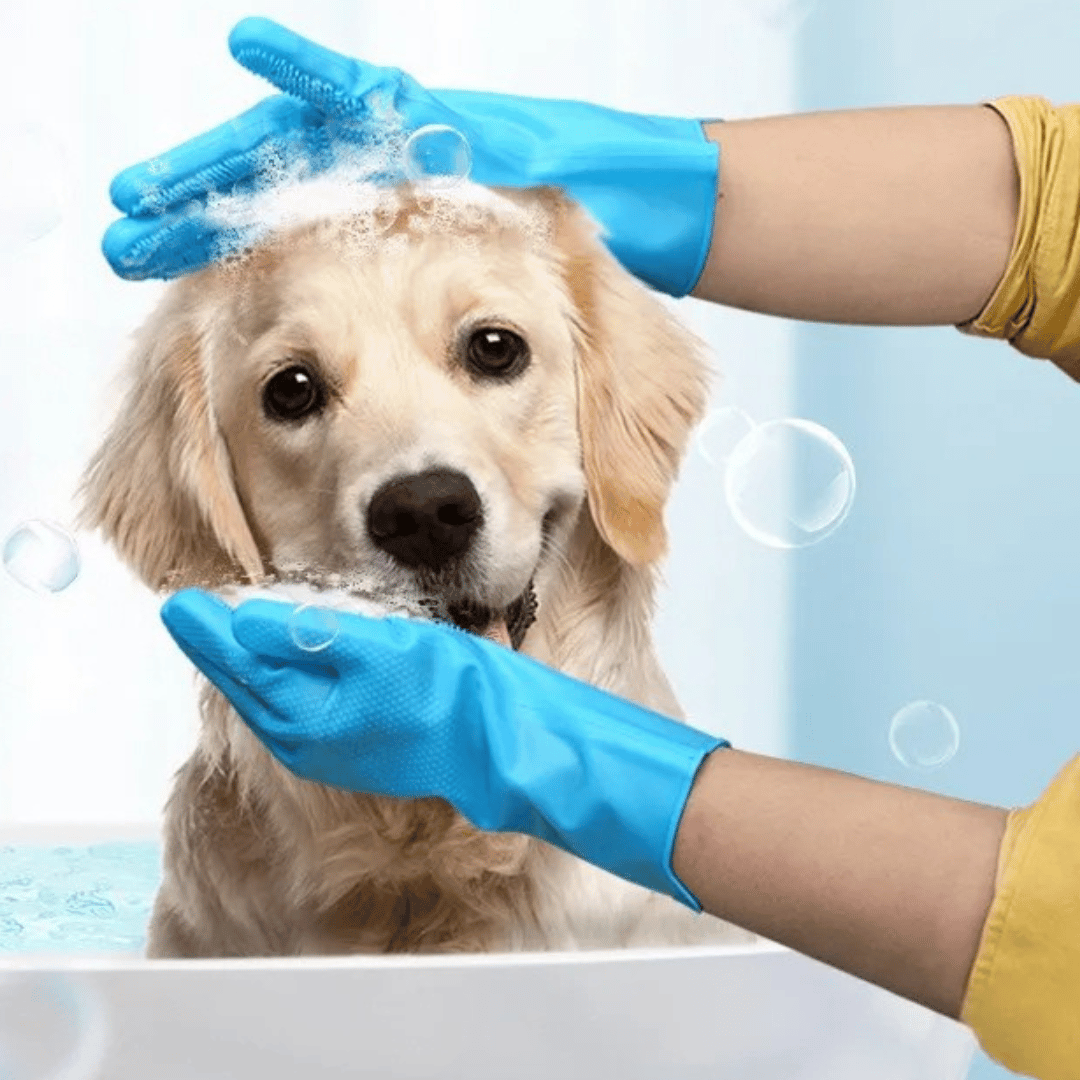 Waterproof Pet Bathing Gloves for Easy Grooming - LifyPet