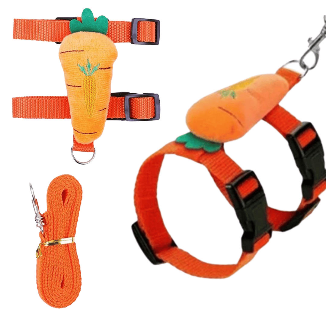 Comfortable Bunny Harness and Leash Set
