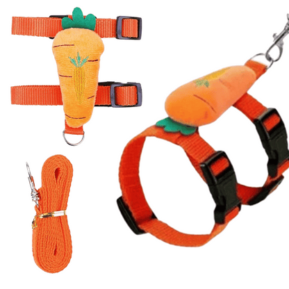 Comfortable Bunny Harness and Leash Set