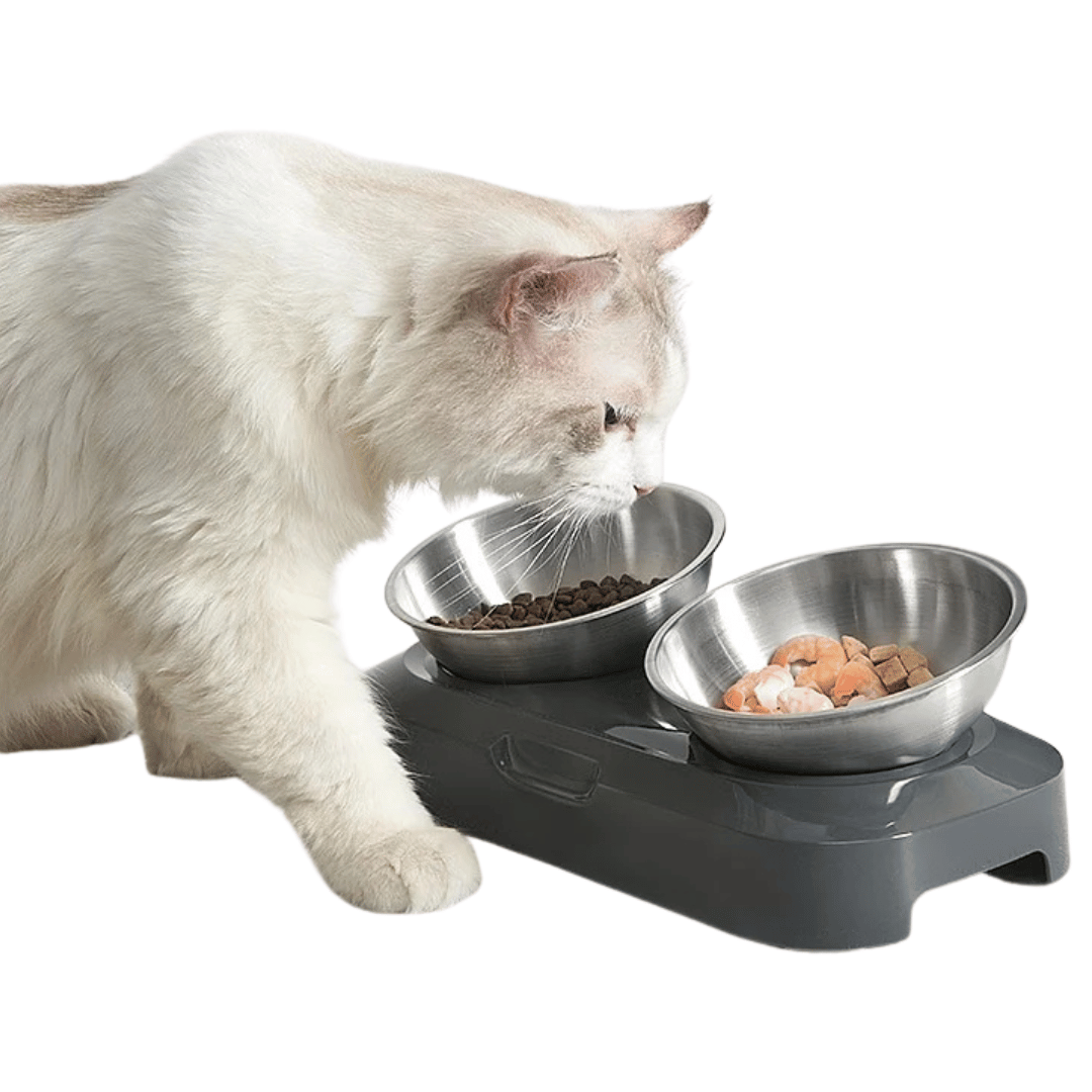 Adjustable Pet Feeder with Stainless Steel Food Bowls