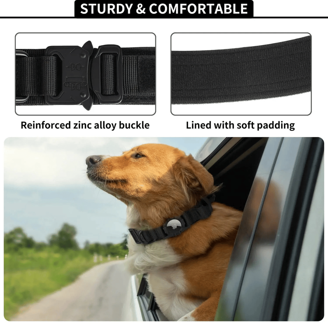 Durable Outdoor Pet AirTag Collar & Leash Set