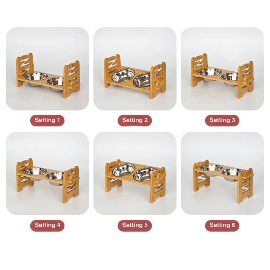 Portable Pet Feeder with Adjustable Height & 2 Metal Bowls