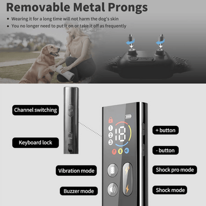 Long Range Dog Training Collar with Color LCD Remote