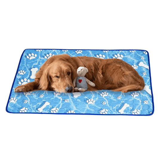 Cool Pet Mat for Dogs and Cats | Chill Comfort Pad - LifyPet