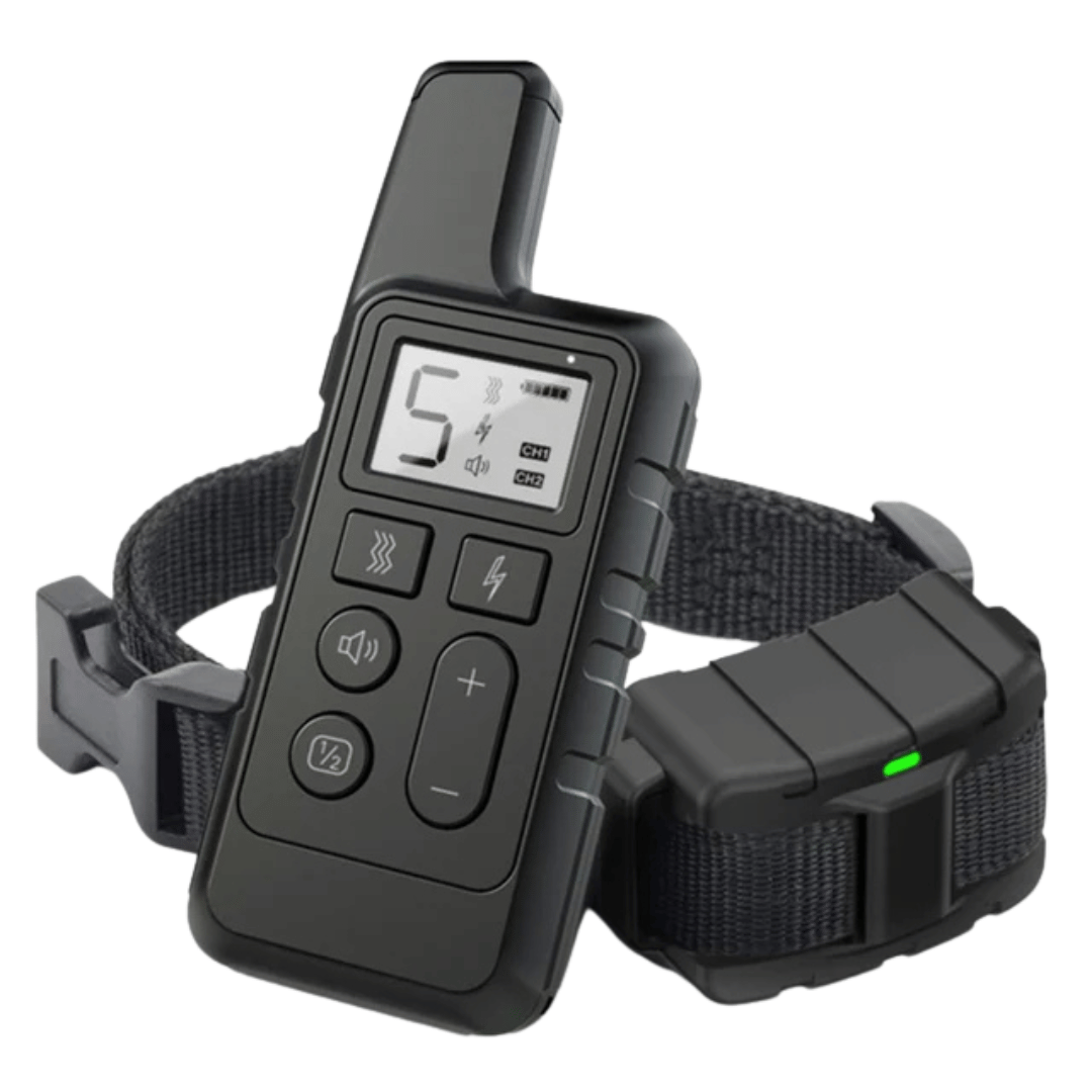 Advanced Dog Training Collar Set with Remote Control