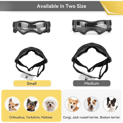Pet Dog Shades for Small Breeds Protection