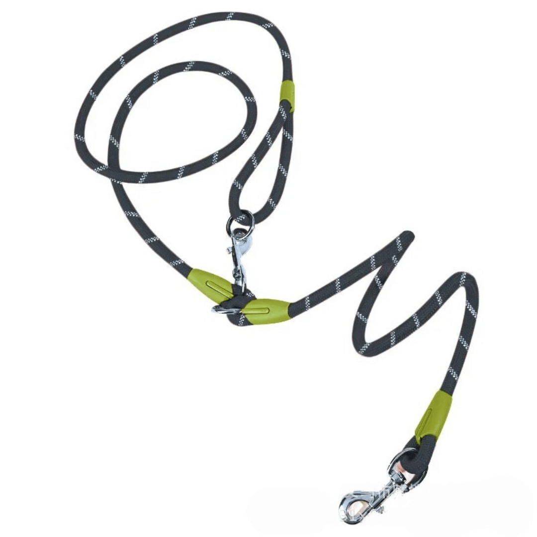 Durable Padded Leash for Running and Big Dogs