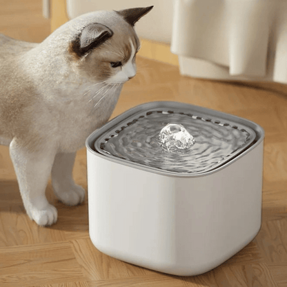 Quiet Pet Water Dispenser with USB Charging