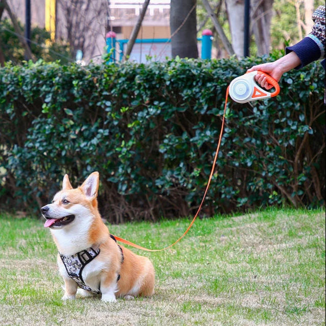 Long Adjustable Pet Leash with Torch & Comfort Grip