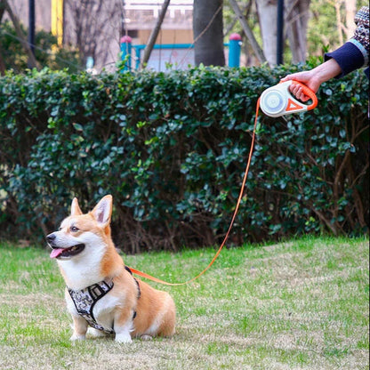 Long Adjustable Pet Leash with Torch & Comfort Grip