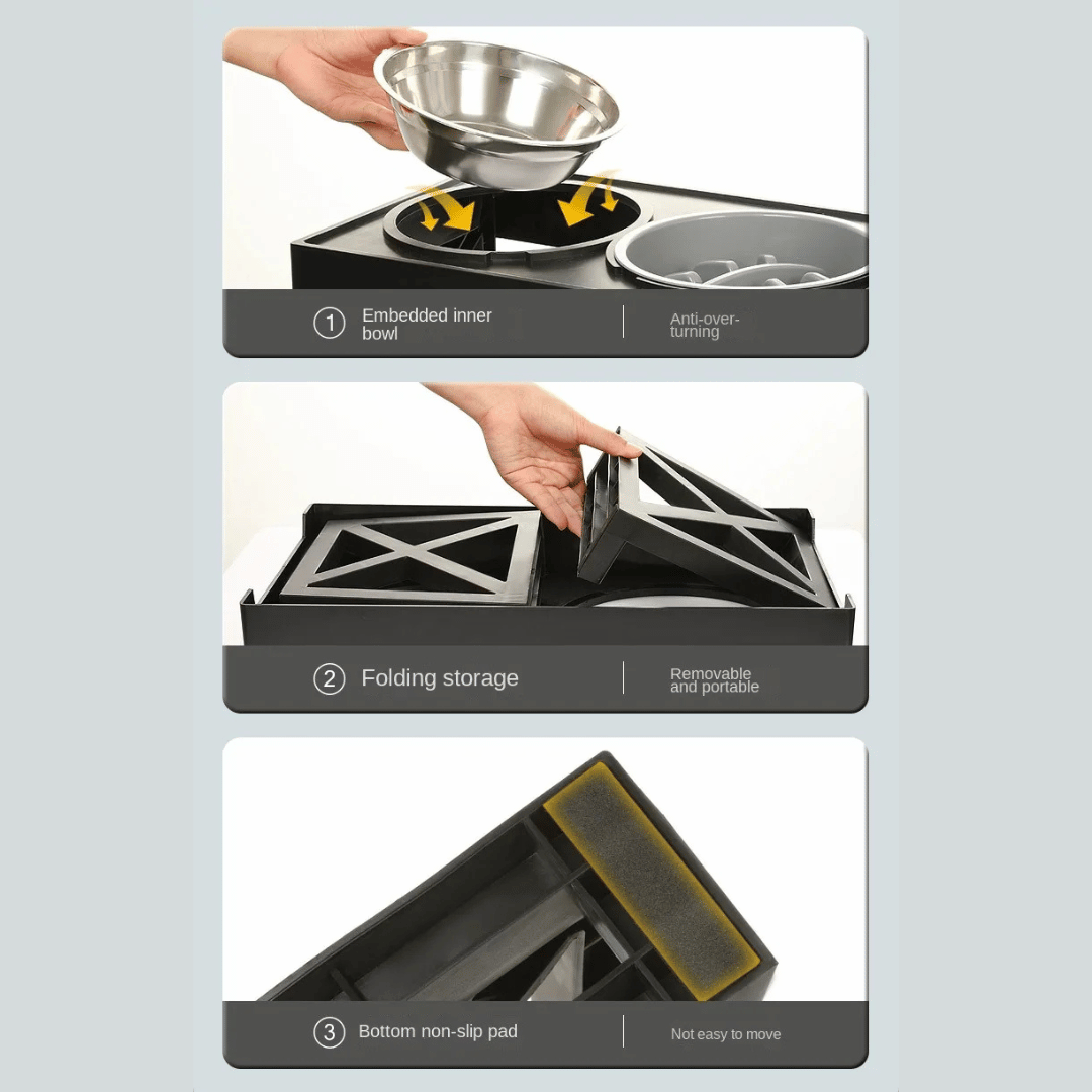 Elevated Dog Feeder with Adjustable Stand and Stainless Bowls
