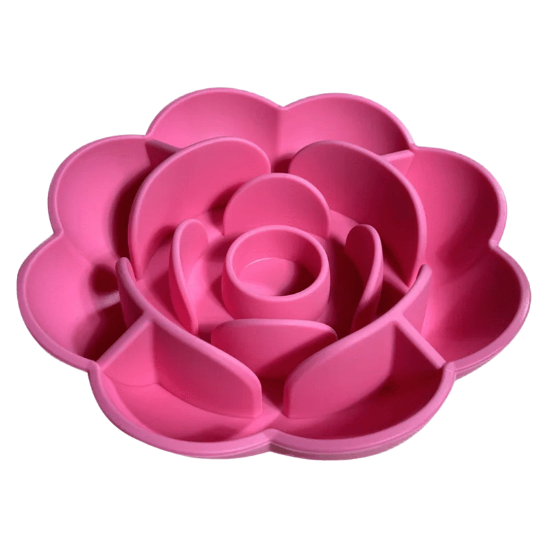 Non-Slip Fun Feeder Dog Bowl for Healthy Eating - LifyPet