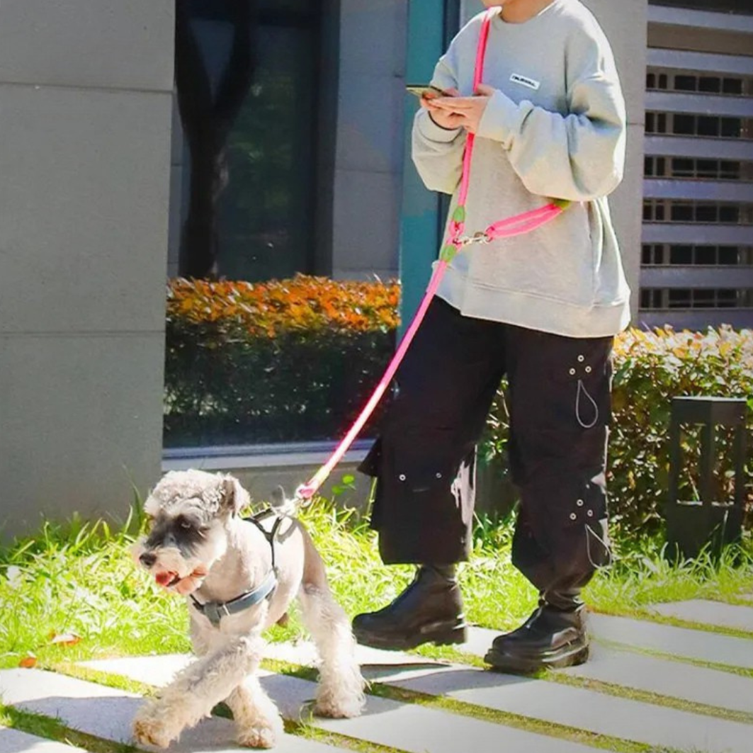 Durable Reflective Dog Leash for Big Dogs Running Walking