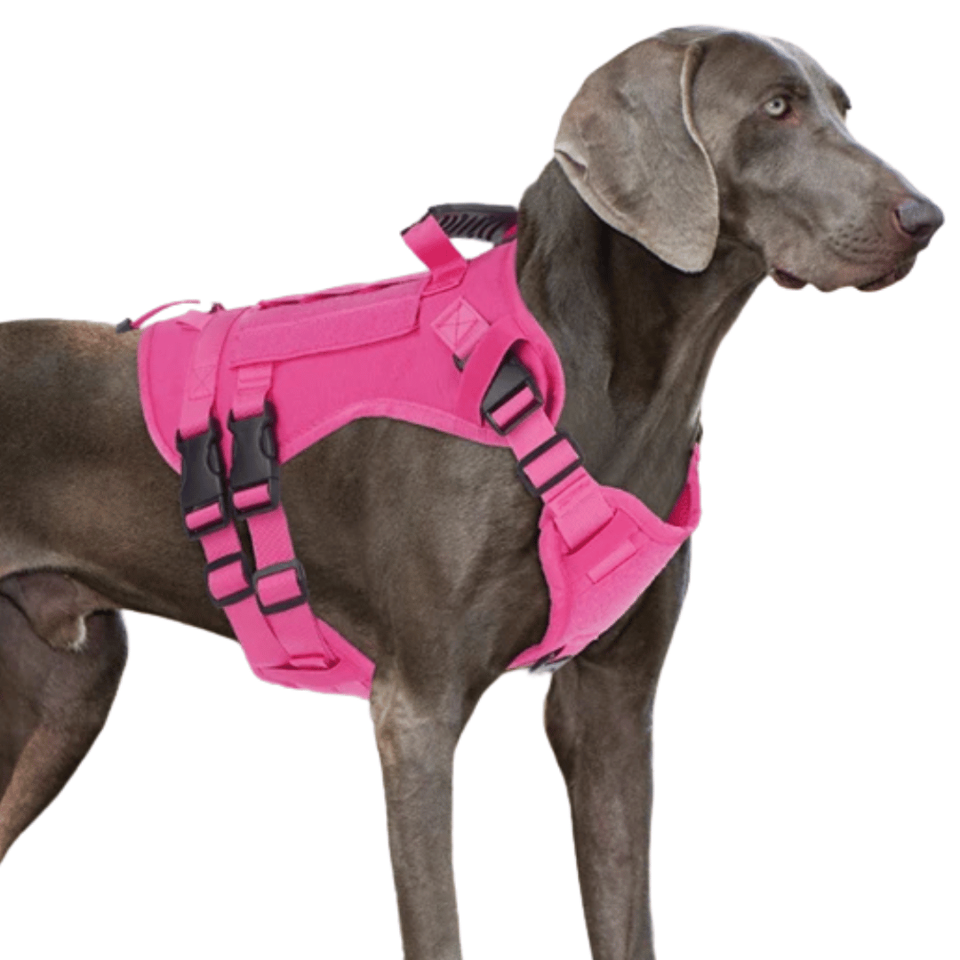 Durable Heavy-Duty Dog Vest with Handle for Large Breeds