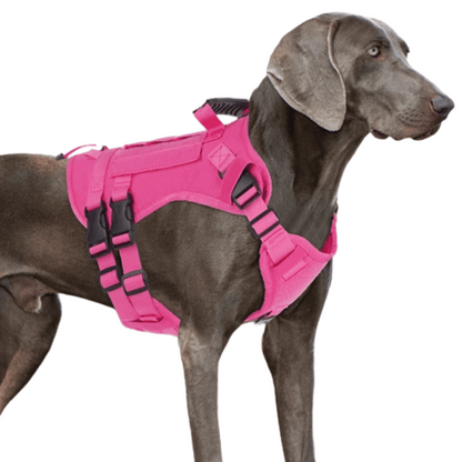 Durable Heavy-Duty Dog Vest with Handle for Large Breeds