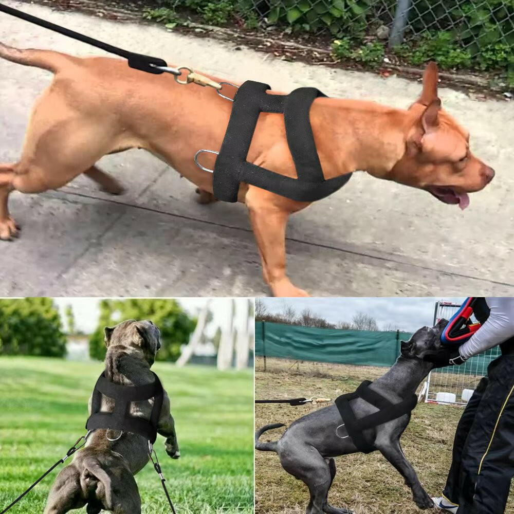 Tough Dog Pulling Harness with Padded Support
