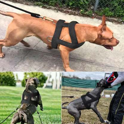 Tough Dog Pulling Harness with Padded Support