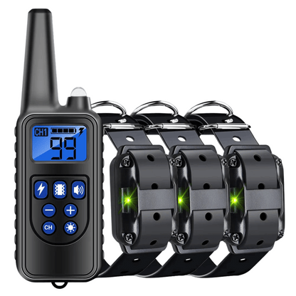 Long Range Dog Training Collar with Remote and Alerts