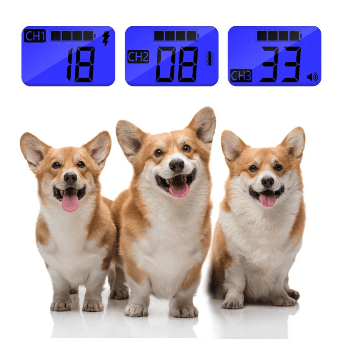 Long Range Dog Training Collar with Remote and Alerts