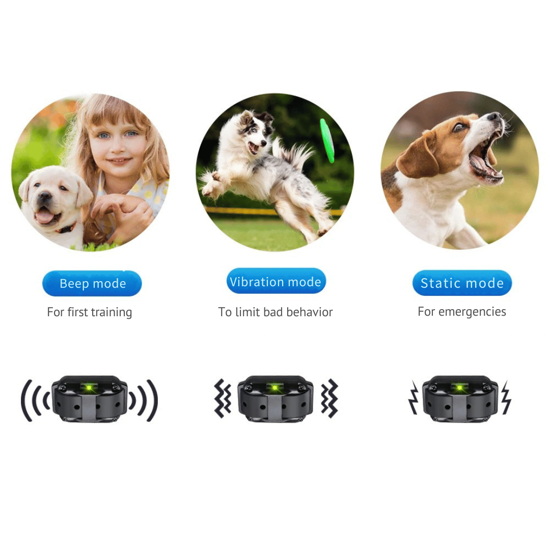 Long Range Dog Training Collar with Remote and Alerts