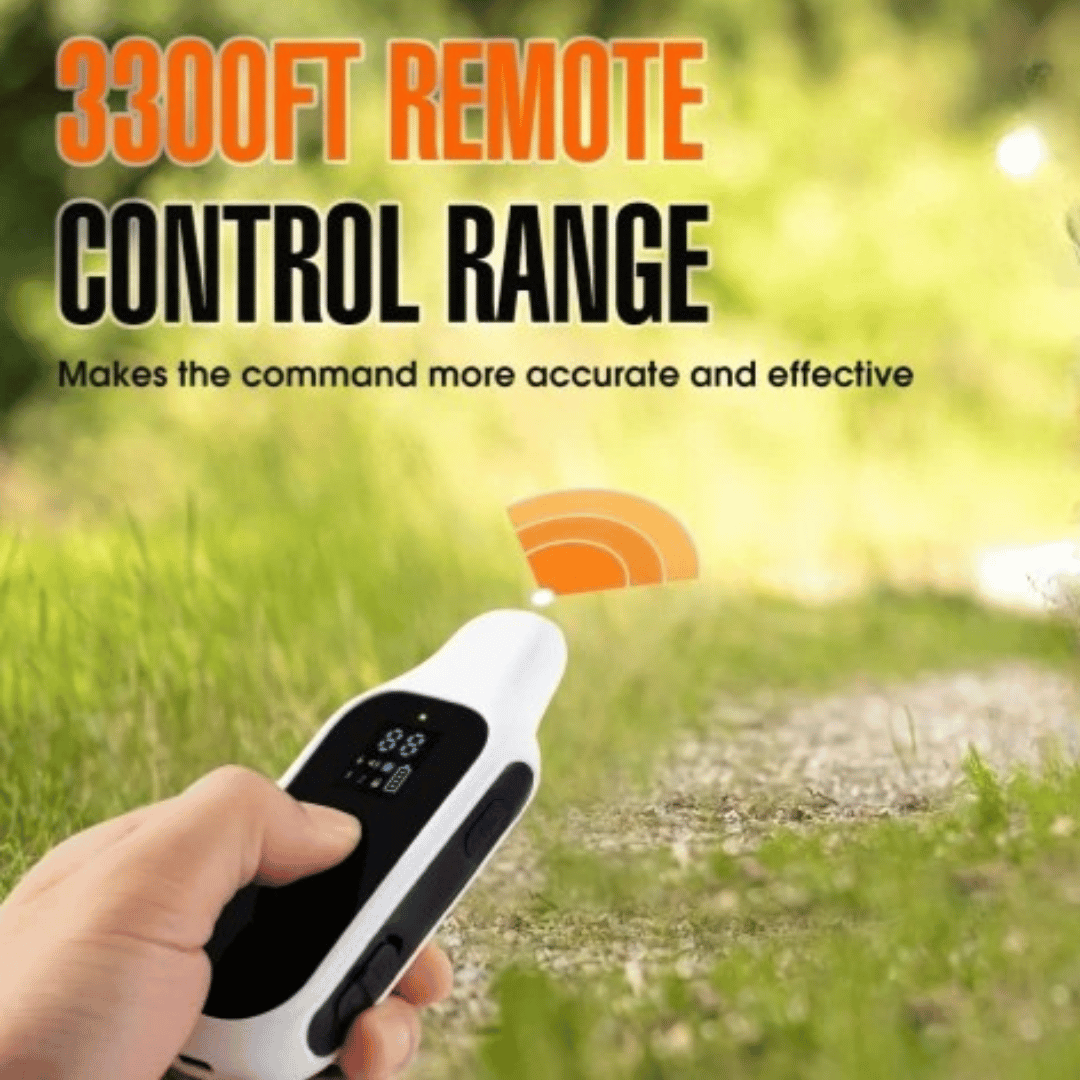 Rechargeable Dog Training Collar with LCD Controller