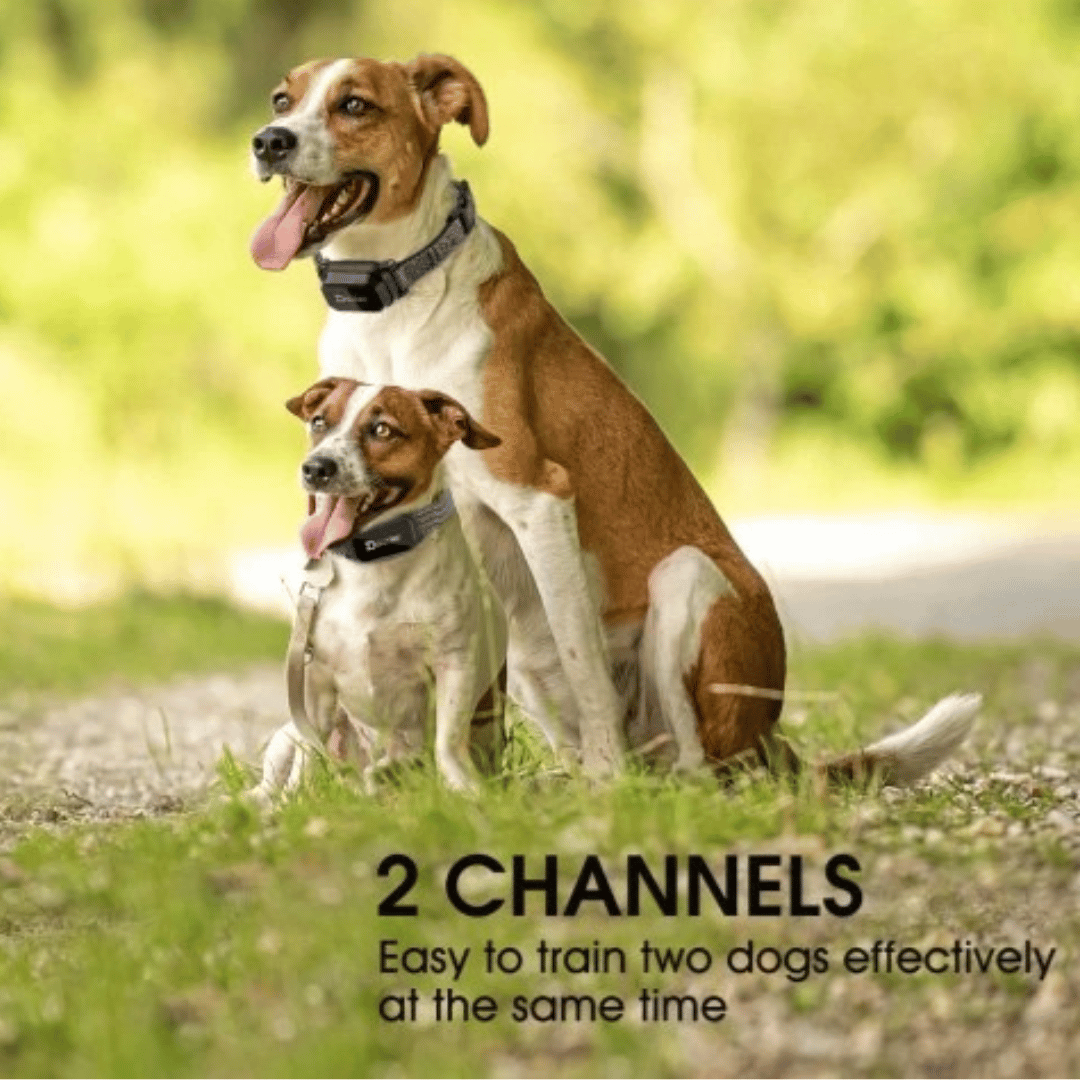 Rechargeable Dog Training Collar with LCD Controller
