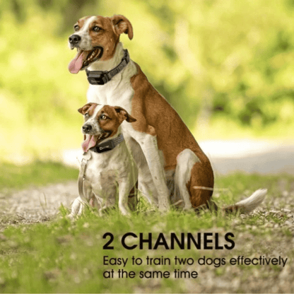 Rechargeable Dog Training Collar with LCD Controller