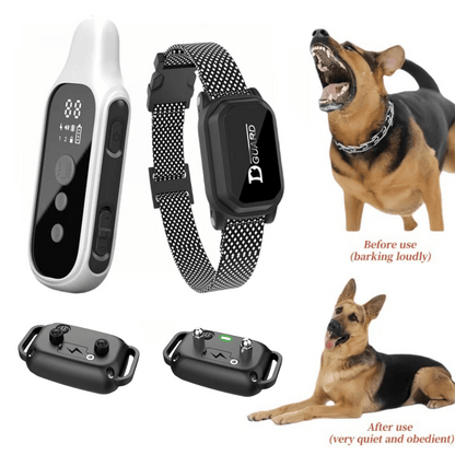 Rechargeable Dog Training Collar with LCD Controller