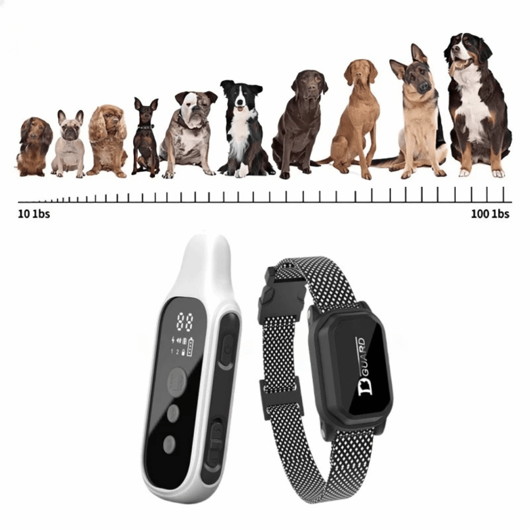 Rechargeable Dog Training Collar with LCD Controller